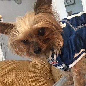 Meet your Posher, Kay